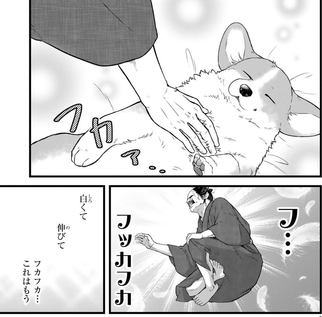 ✨コミックス好評発売中✨ 武士とコーギー犬 ほだされ主従暮らし🐯🐶 『#殿と犬(とのといぬ)』第①集 描き下ろし漫画や おまけカットも盛りだくさん! 【4コマ書店特典】 👇こちら👇 https://comic-polaris.jp/polaris_comics/ 【無料試し読み】 👇こちら👇 連休のお供にぜひどうぞ〜🍵