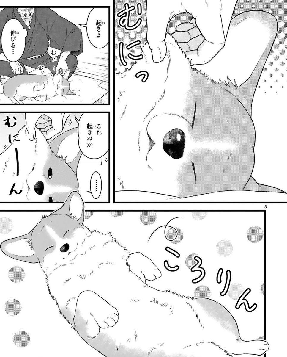 ✨コミックス好評発売中✨ 武士とコーギー犬 ほだされ主従暮らし🐯🐶 『#殿と犬(とのといぬ)』第①集 描き下ろし漫画や おまけカットも盛りだくさん! 【4コマ書店特典】 👇こちら👇 https://comic-polaris.jp/polaris_comics/ 【無料試し読み】 👇こちら👇 連休のお供にぜひどうぞ〜🍵