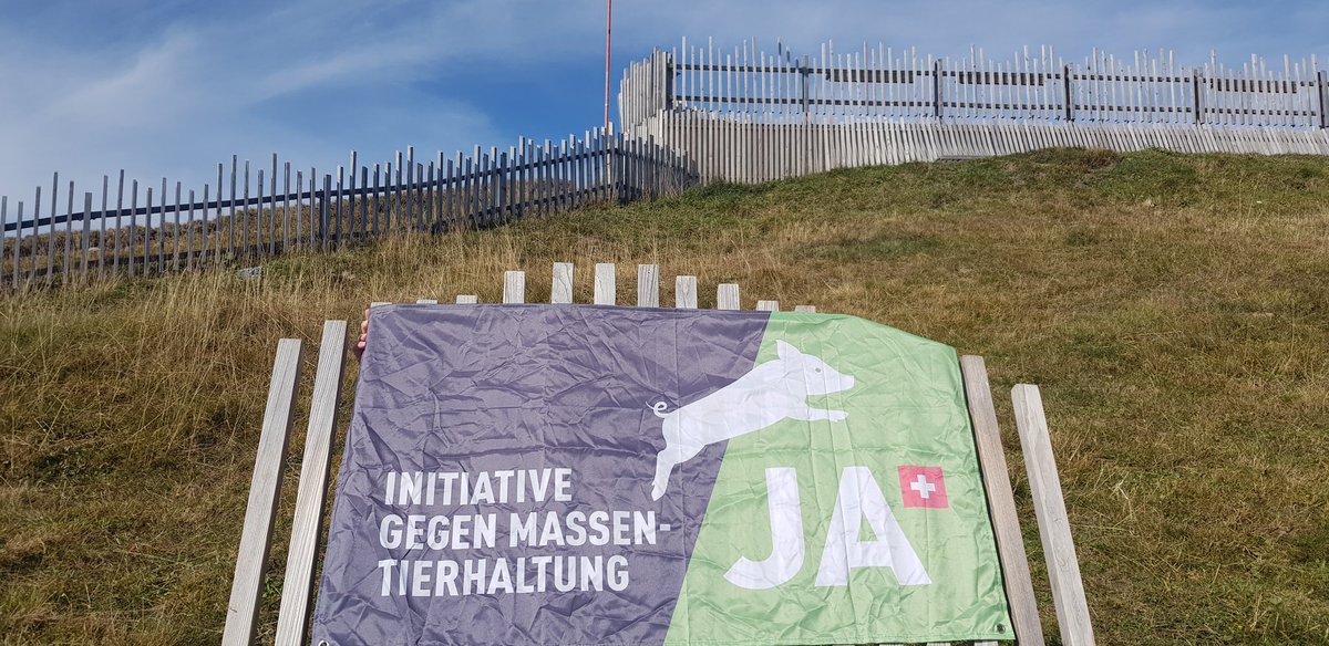 AAktivismus's tweet photo. TIERPRODUKTION STOPPEN! 

#Endspurt für die #Initiative gegen #Massentierhaltung 🐔🐷🐮@Tierwohl_JA / @elevageintensif Morgen an die Urnen. 🗳

Fotos: @goapirat &amp; @loupi_ipoul

#Tierwohlja #CHVote #Alpen #Niederhorn #Switzerland #Schweiz #abstimmung22 https://t.co/mxc6xX73zw