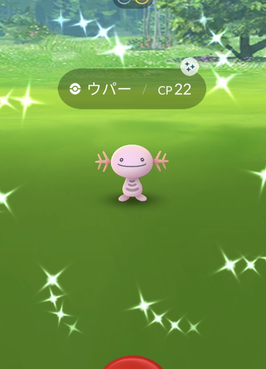 ヌオー色違い Twitter Search Twitter
