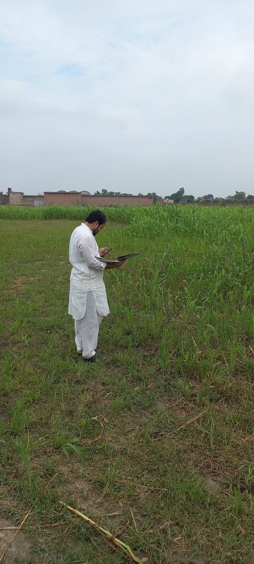 DCGRW's tweet image. On the directions of Deputy Commissioner Saira Omar AC Kamoke deputed Revenue field staff for Digital Girdawari. 

#RevenueReforms
#DigitalGirdawari
#Gujranwala 

@CMPunjabPK 
@CS_Punjab 
@BoardRevenue 
@CommissionerGu3