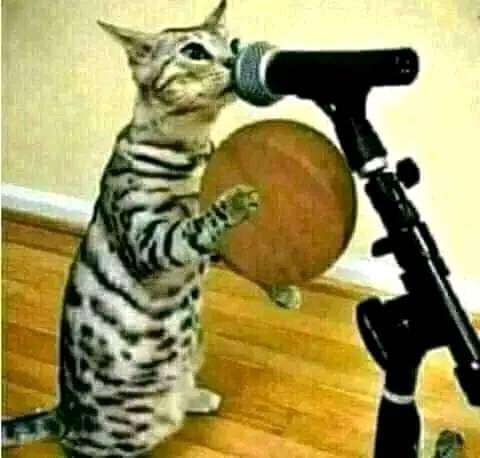 #ياو هاذي في خاطر لي معندها لا زهر لا ميمون لا عريس🙂
يااو دبا يجي يالحبيبة ياو دبا يجي 💃💃🤣🤣🤣🤣🙆