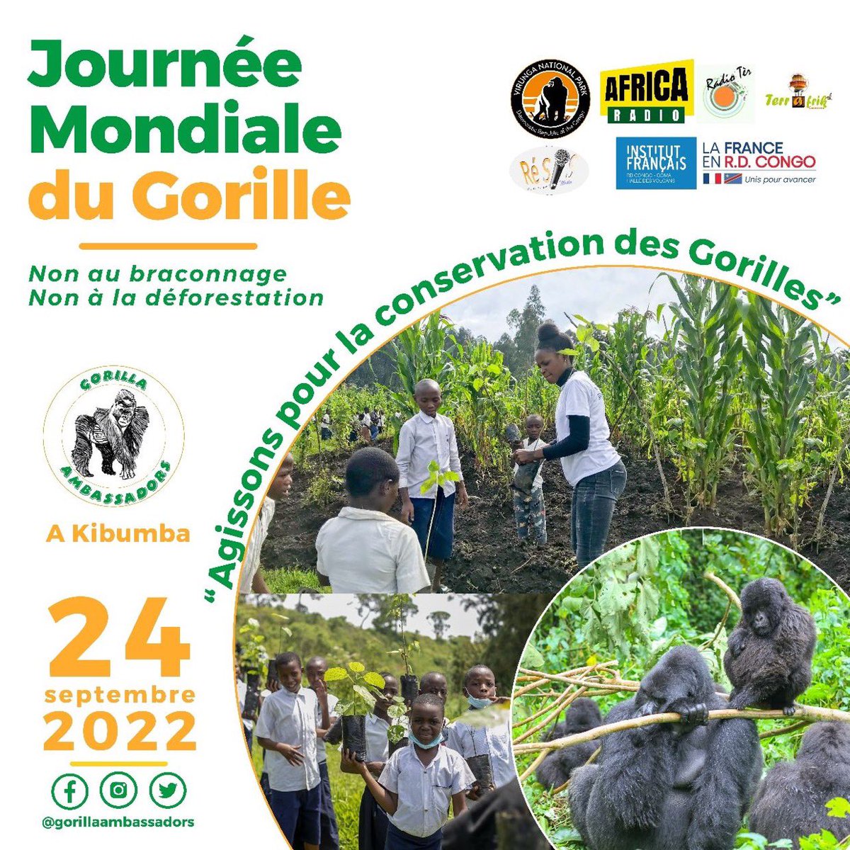 TontonVert's tweet photo. #GorillaWorlday Ce matin je pense à mon pote @AlainMukiranya qui sillonne les forêts
du Congo 🇨🇩 pour sensibiliser contre la déforestation et sur pour la protection des Gorilles .
Good luck brother 🙌
#Gorillaambassadorsprogram
#virunganationalpark
#ConservationCrew https://t.co/hhlfiObqjk
