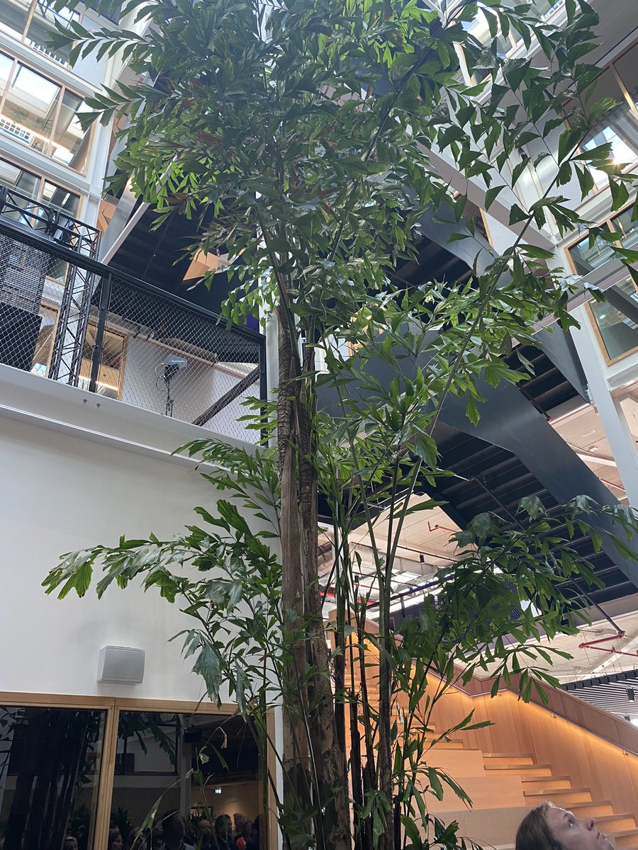 MullerCatelijne's tweet photo. 🏡ALLAI has a new home. We are the proud new residents of @Lab42UvA, the brand new AI centre at Amsterdam Science Park. 📣We will hold the Responsible AI Conference at #LAB42 (11/10, 15-17 + official opening of #WAIW). 
More info and tickets: 
https://t.co/bT7dUzrQYo
Sneak peak↘️ https://t.co/vChBSqmWMI