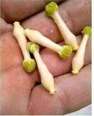 #والله وما كنتي من الأساطير لا فهمتي شي لعبة 🤣🤣