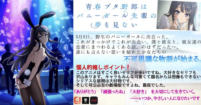 画像まとめ 青春ブタ野郎はバニーガール先輩の夢を見ない 10ページ目 アニメレーダー