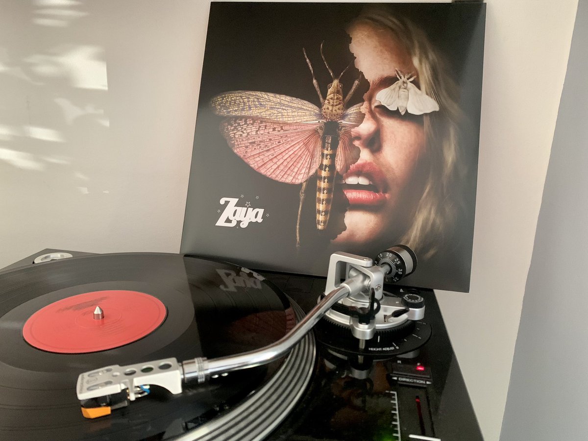 Neil 1RecordEveryday tweet media