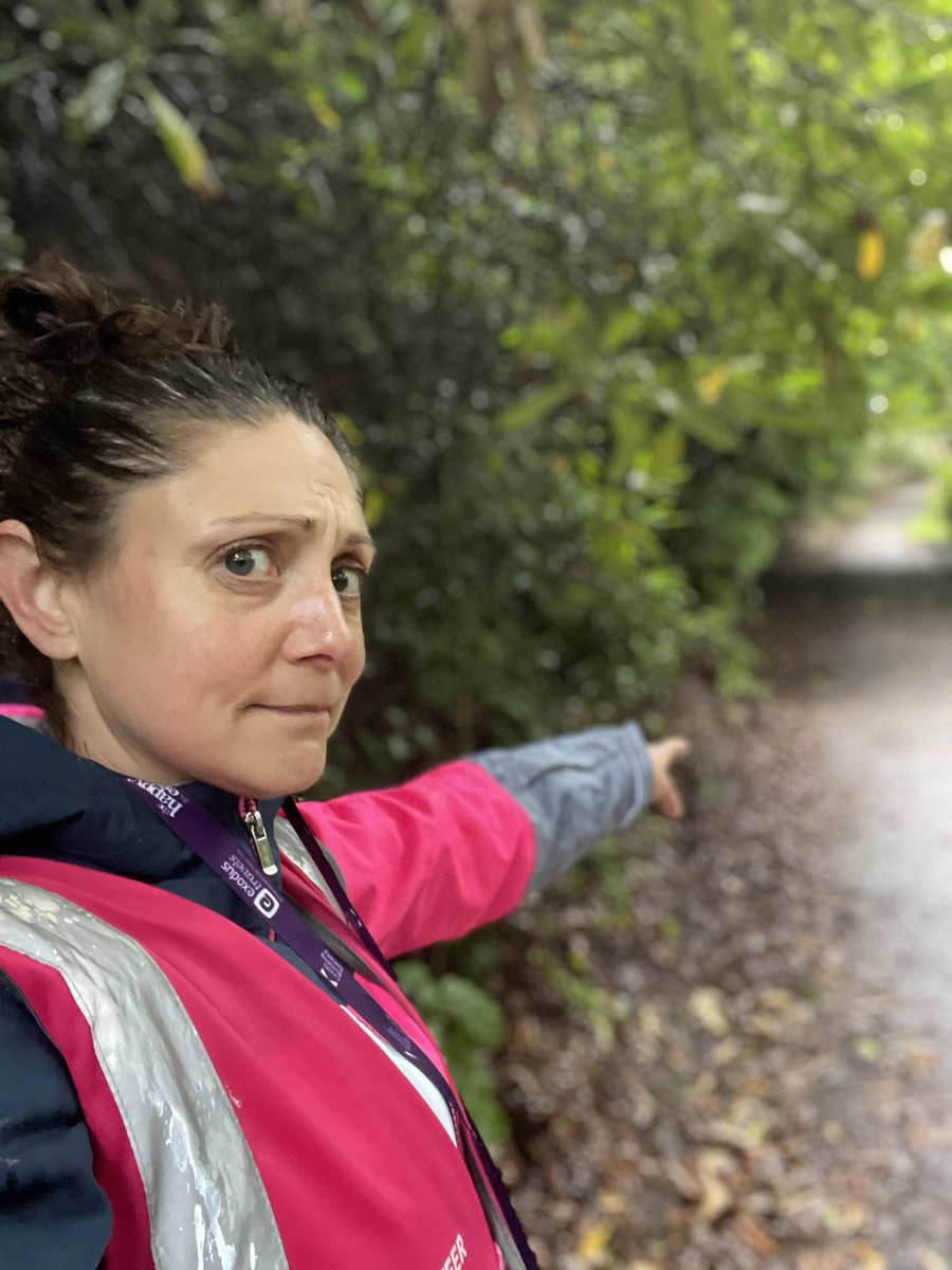 vividlilyart's tweet photo. Marshalling the bottom of not so โhilarious hillโโฆ. #itsnotsobad ๐คช #parkrun https://t.co/pE0c71e8B9