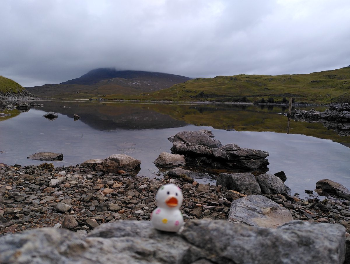 Kirstymill's tweet photo. It has been a while since #Archaeoduck got out and about, but earlier this week he went up north. He was very pleased to get out into the countryside again! #Sutherland #Scotland 1/3 https://t.co/IwL0SicPco