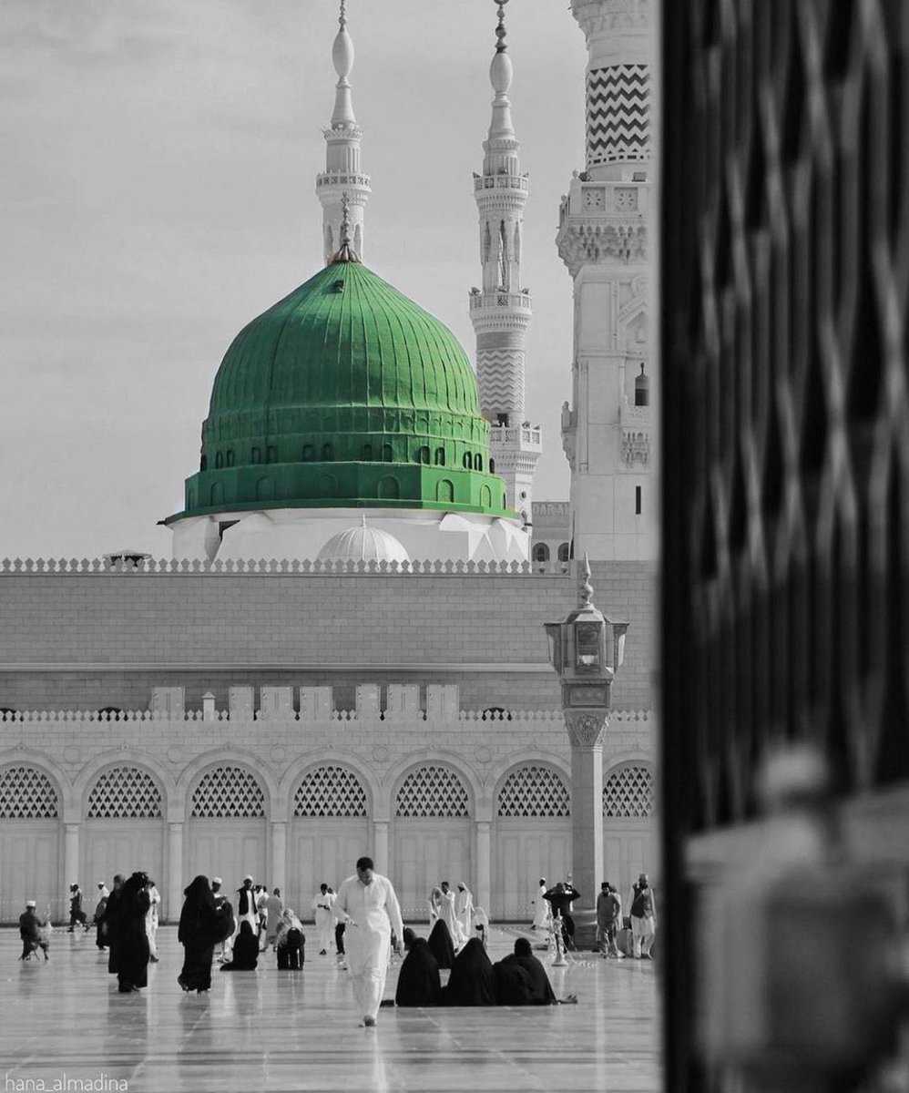 السَّلَام عَلى صَاحِب السَّكِينَة . . السَّلَام عَلى الْمَدْفُون بِالْمَدِينَة .
 #استشهاد_الرسول_الأعظم