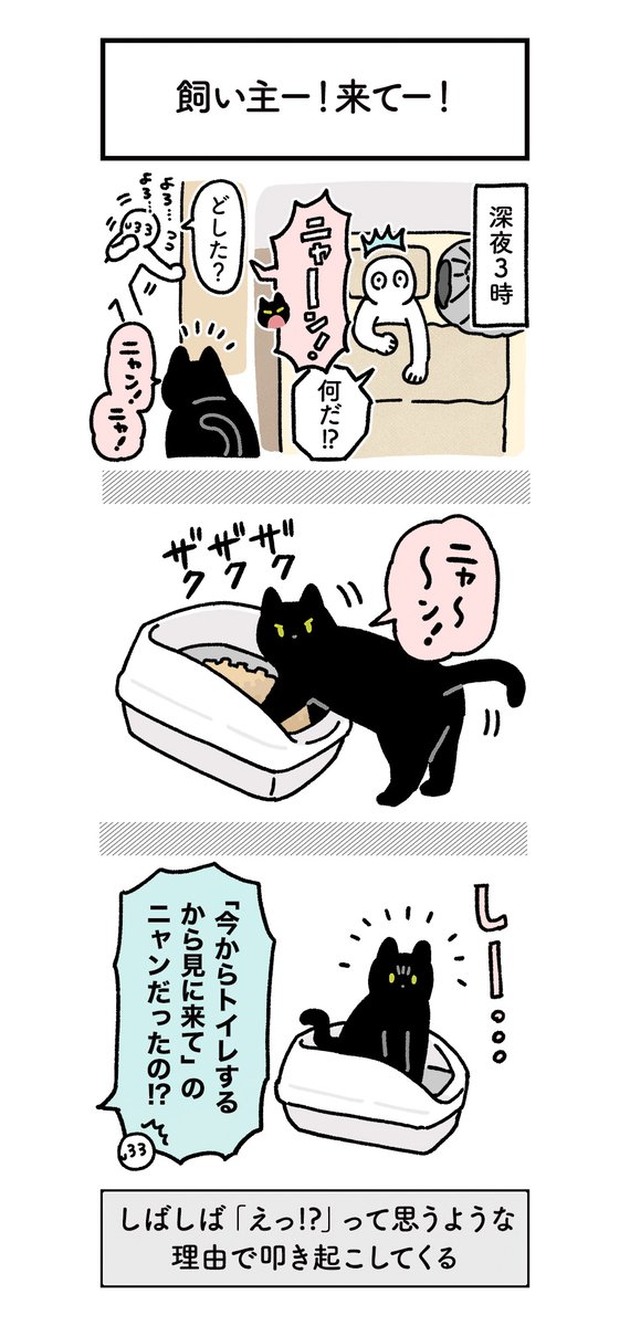 ねこ、しばしば深夜に「ええ!!??」って理由で飼い主を叩き起こしてくるので目をシパシパさせながらも笑ってしまう #ろんの絵日記 