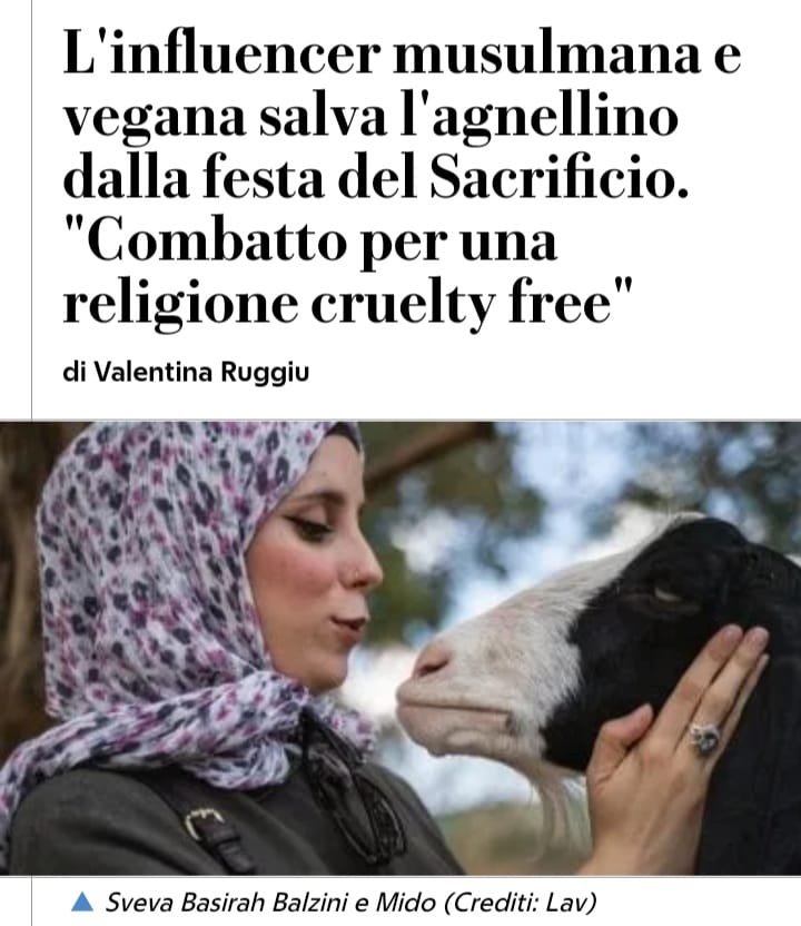 LAV_Italia's tweet photo. Ecco l'articolo di @ValentinaRuggiu su @repubblica che racconta la storia di Mido, un agnello che abbiamo salvato dalla festa musulmana del Sacrificio. Con noi c'era @svevabasirah a raccontare l'importanza di una fede cruelty-free.
Leggi l'articolo👉https://t.co/m7VDzFj9Q8 https://t.co/qG8wSgJc5T