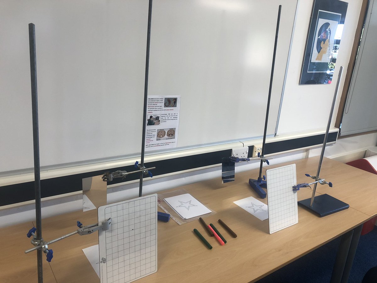Psych_Grange's tweet photo. We are set up, ready and excited for Open Day - come and see us in S10 for sheep brains and memory experiments! 🧠 @Grange_Cheshire https://t.co/7A12nyNvMk