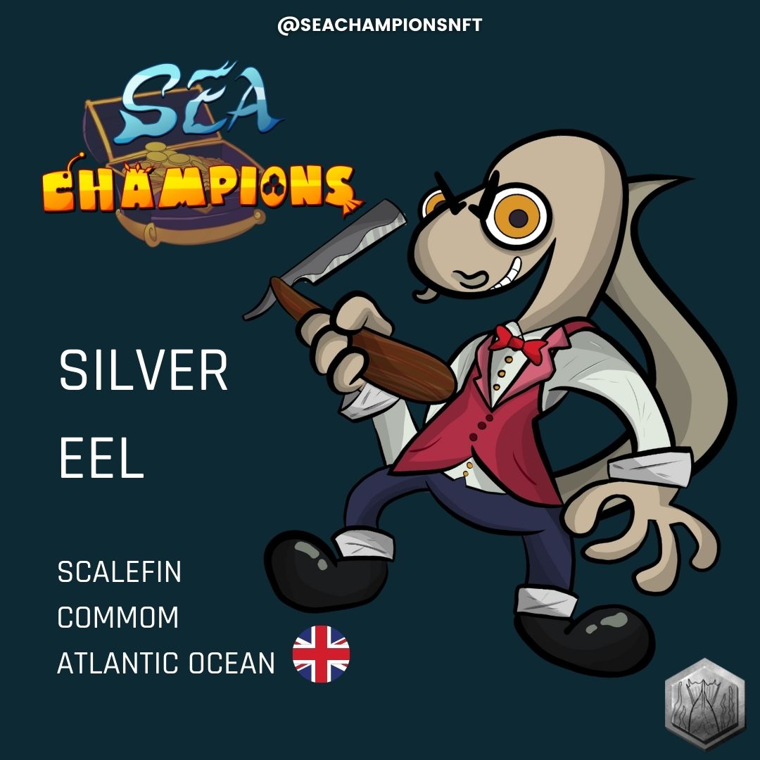 Get to know a little better one of our champions of the seven seas.

Todd the Barber Eel(Silver Eel)They are omnivorous, but feed mainly on small fish, crustaceans, mollusks, worms and insects, and have been found individuals weighing 14 kg and with a maximum age of 85 years.