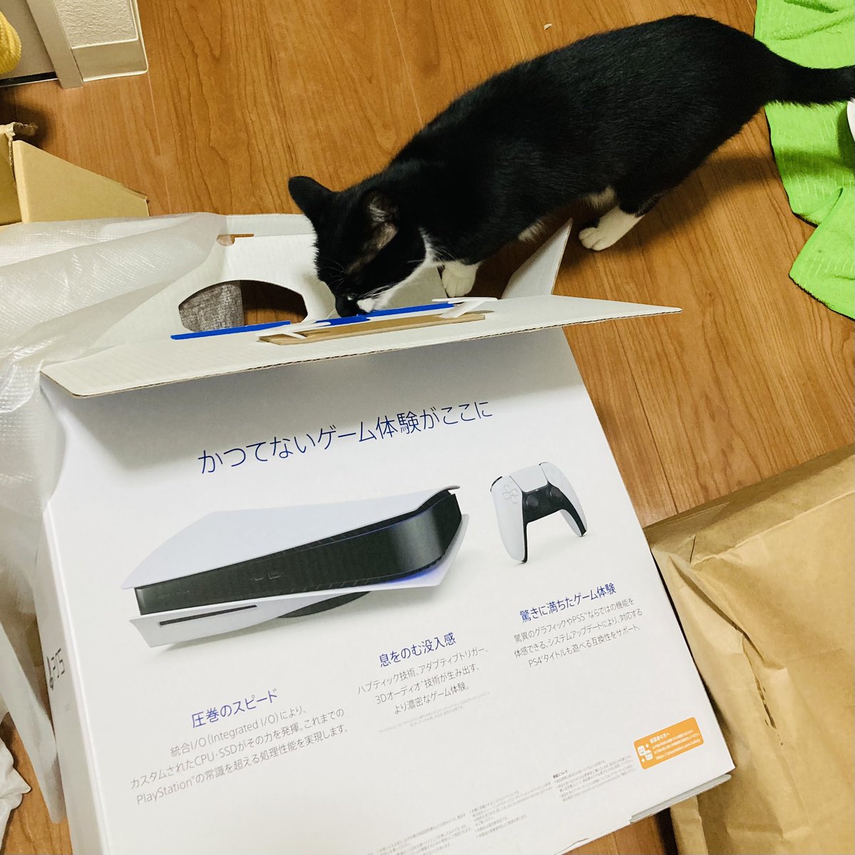 onaca_hhh's tweet photo. たのしそ〜！ https://t.co/ZcZi0pgrNH