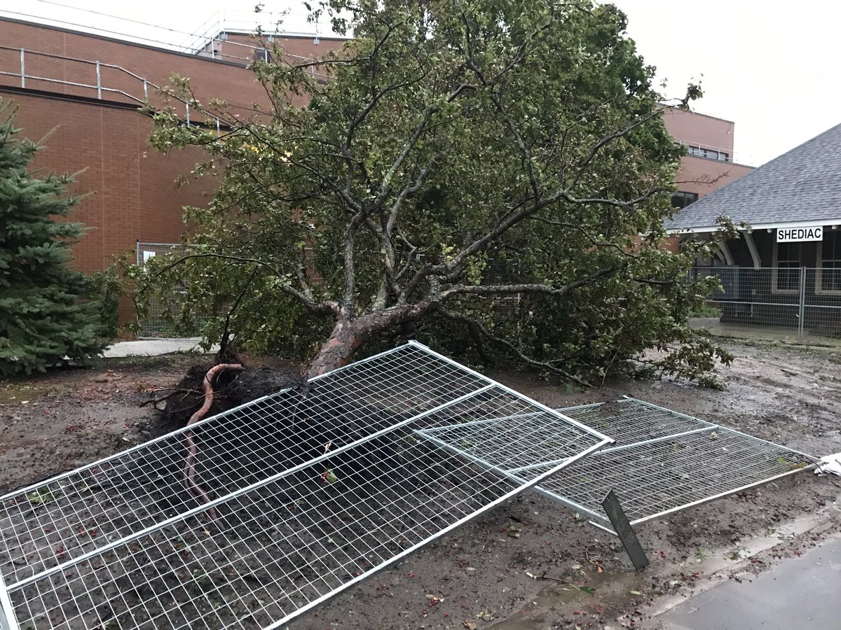 dhagg71's tweet photo. 7:05 am: temporary fencing, tree down behind fed govt building in Shediac #HurricaneFiona https://t.co/7b3NIK3est