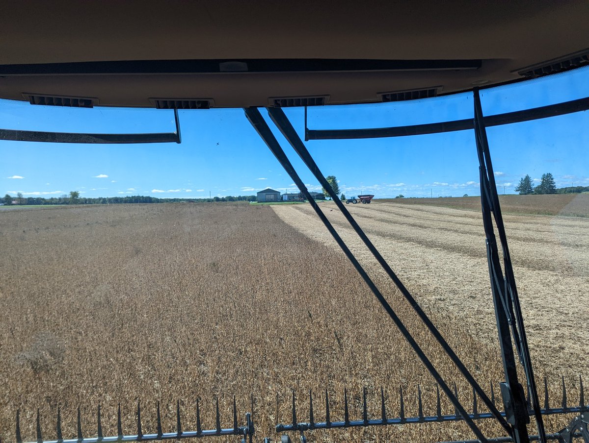 fischer_theo's tweet photo. Beans are a go in South Bruce!!#Harvest22 #Ontag https://t.co/nn8p2H7Z2D