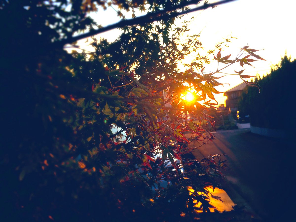nariphot15's tweet photo. 秋

#ファインダー越しの私の世界 https://t.co/MrXZbUDEj8