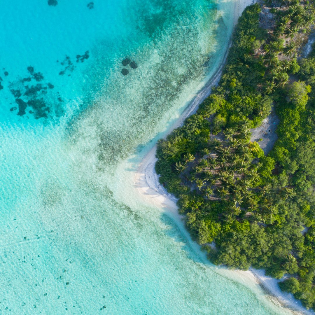 Behold! Where lush tropical vegetation meets the sun, sand and sea!

There truly is no place like the #maldives

#maldivesstartshere #tropicalnature #travel #nature #tropical #photography #tropicalparadise #maldivesresorts #traveldiary #tropicalwater #beachphoto #traveldream