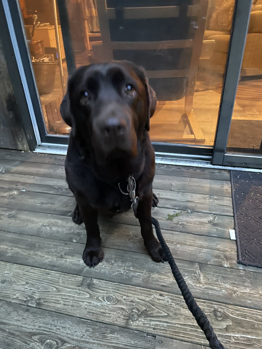 codyjakegolden's tweet photo. #byemaine #acadia #barharbor #mainebo #allpacked https://t.co/TABeDTtppx
