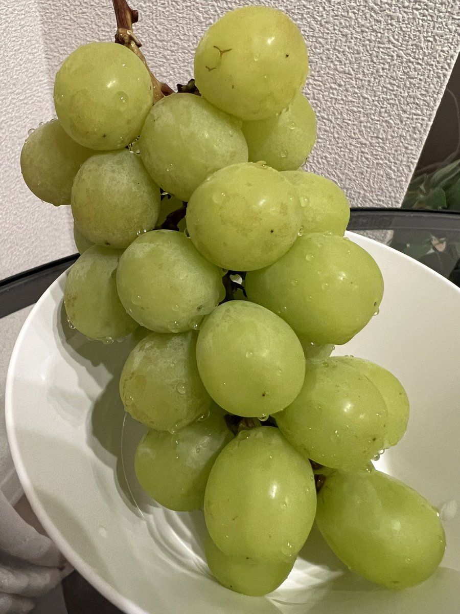 hideki06160616's tweet photo. これが1100円はお値打ち🥺🥺 https://t.co/QA2rAWzWJT