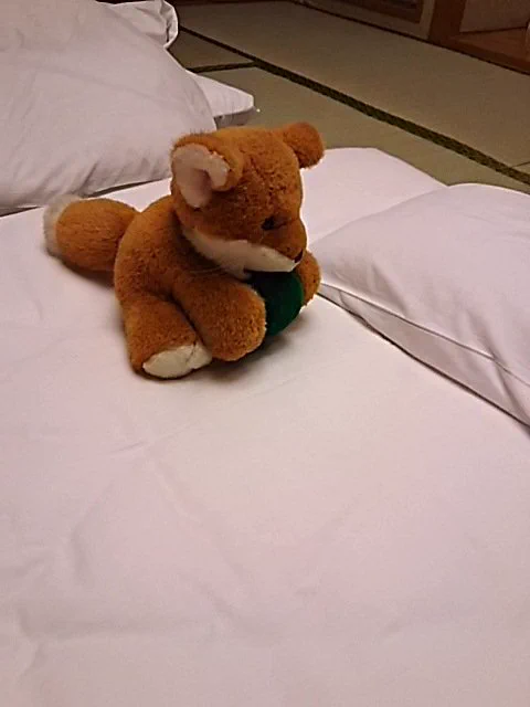 30年以上大事にしてきたぬいぐるみ♡旅館にまで連れてきたのはまさかのご主人だった。