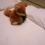 30年以上大事にしてきたぬいぐるみ♡旅館にまで連れてきたのはまさかのご主人だった。