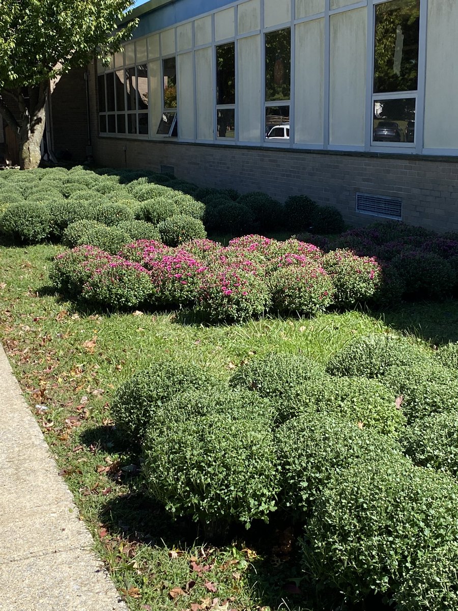 Our Mum fundraiser was a success! <a href="/WTEPTO/">Westtown-Thornbury PTO</a> <a href="/WTE750/">Shawn Cruice</a>