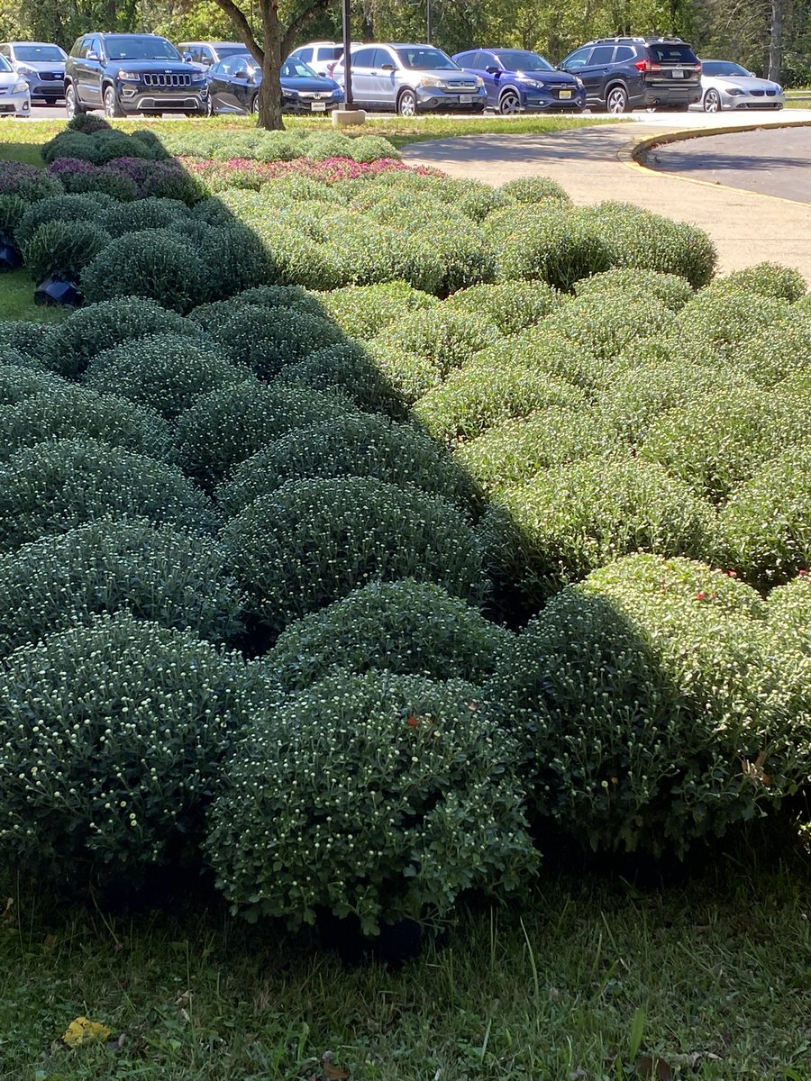 Kelly Patterson tweet media