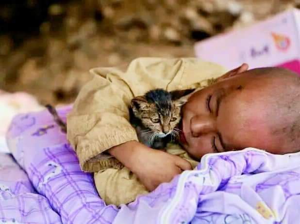 شفقت، صمیمت او محبت هغۀ خواږه څيزونه دي؛
چې د ماتو زړونو او میراتو آرمانونو،
د رغولو لپارۀ د پټۍ حیثیت لري..😊
❤