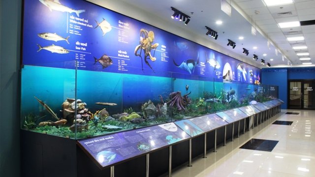 desaipranjalbjp's tweet image. ભાવેણાને મળશે રિજિયોનલ સાયન્સ સેન્ટર
માનનીય પ્રધાનમંત્રી શ્રી @narendramodi જી 29/7/2022 ના રોજ ભાવનગર ખાતે ₹100 કરોડના ખર્ચે 20 એકરમાં નિર્માણ પામેલા રિજિયોનલ સાયન્સ સેન્ટરનું લોકાર્પણ કરશે. 
@bjpforbhavnagar  @DrRajeevPandya
#BJP4Bhavnagar
#DrRajeevPandya
#ITSMBhavnagarcity