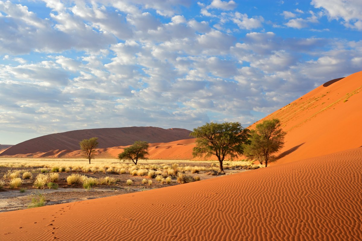 touristlink's tweet photo. Sossusvlei is a prime destination in Namibia that showcases mammoth sand dunes located in the Namib-Naukluft Park.
See More - https://t.co/TUwrTh1Zfs
#namibiatour #namibiatravel #namibiatourism #namibdesert #sossusvlei #namibiadesert https://t.co/nDlZUrX1hG
