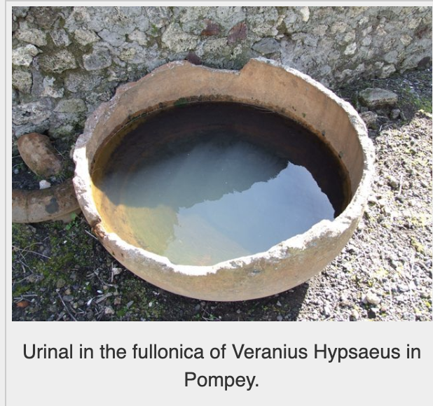 MumukshuSavitri's tweet photo. 100 AD, “Civilized” Rome - Stale urine collected from public urinals &amp; poured into vats for slaves to stomp on clothes &amp; 'clean' stains/odors.

2500 BCE, “Uncivilized” Bharat - Reetha (soap-nut), Amla (antibacterial) &amp; Shikakai used as detergents to wash clothes, hair &amp; body. https://t.co/dpF1lFEMaJ