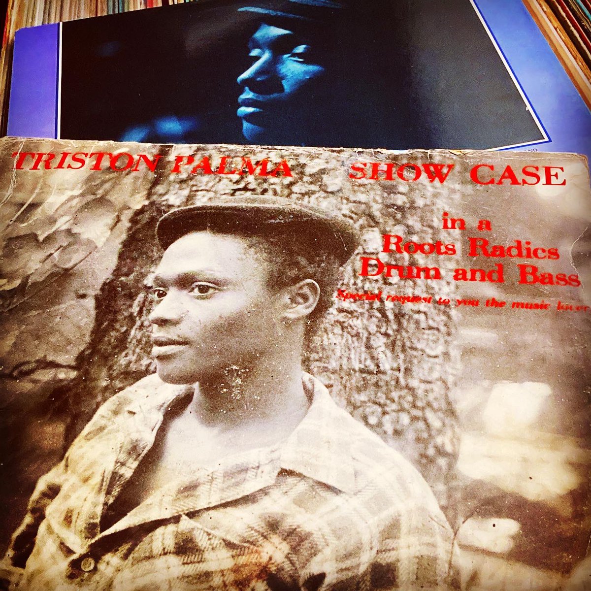 Kazuki_cocoisle's tweet image. 🔊🔊🔊

＼ 結果は以下となりました！ ／

Triston Palma : 6/9 (67%)

Triston Palmer : 3/9 (33%)

.
.

[[ Triston Palma x #9Labels ]] …

instagram.com/p/Ci4utl8POLh/