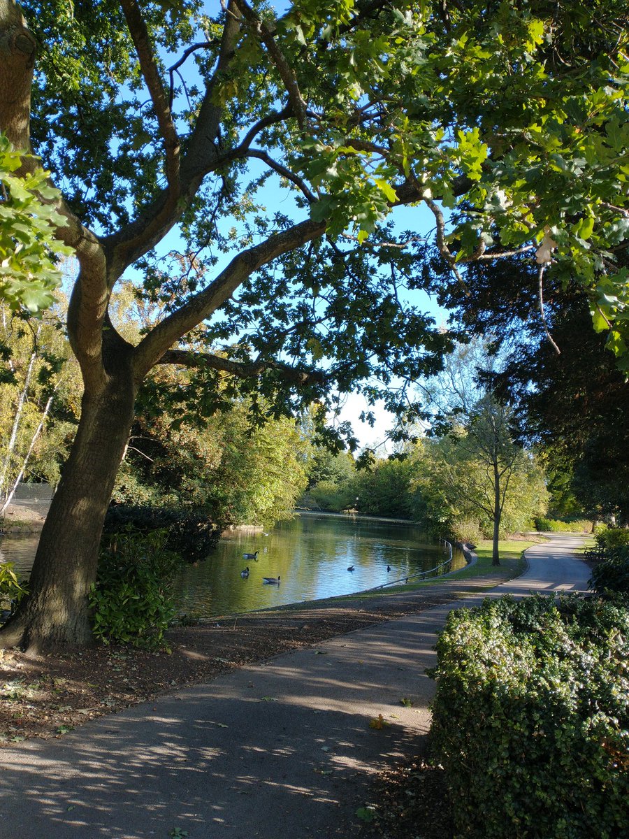 helmarbro's tweet photo. Nature doing what she does best. #calmandbeautiful #healingtheheart #lovetrees https://t.co/yJtgHL7KRX