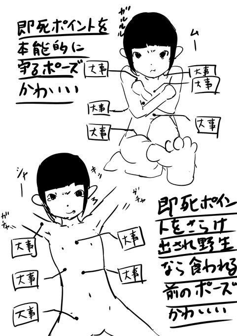 ã¡ãªã¿ã«ãããããçµæ§ãã®ãã§ããããã§ããã©ãåãã人ããŸããã?
ãè
¹åŽã£ãŠéçåç©ãšããŠã¯èŽåœå·ã«ç¹ãã倿µããå®ãã¹ãéšäœãªã®ã§ããã®éšäœãæ¬èœçã«å®ãããšããããŒãºãããããã§ããšãã®å€§äºãªéšäœãããããåºãããããŒãºãããããã§ããªãã§ããã©