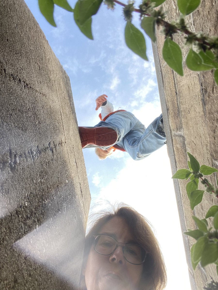 solvesconflicts's tweet image. Wir haben versucht Bilder zu schießen, die Vertrauen ausdrücken. Was sagt Ihr dazu? #bcrm22