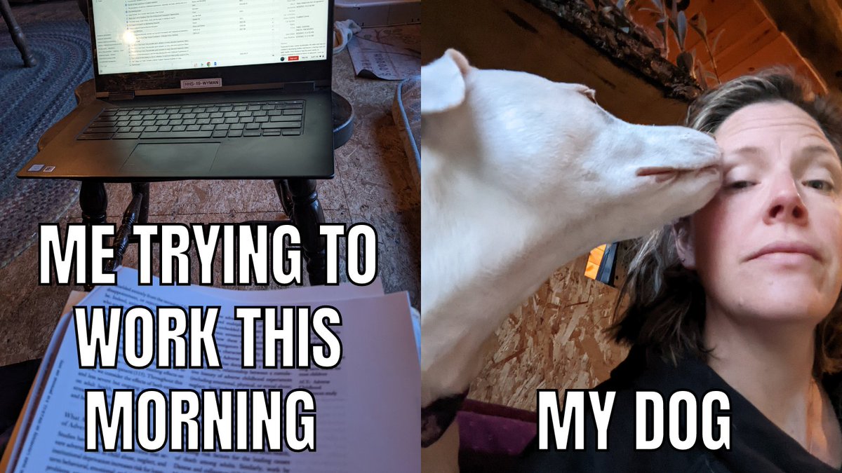 MsWyman's tweet photo. How my dissertation work is going... https://t.co/4IgGaH4oBX