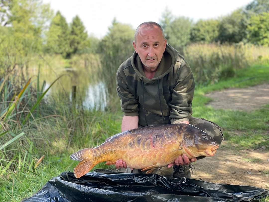 Congratulations to Pat Curley on catching a personal best 31lb 8oz Mirror from the Specimen Carp.

He may not look happy...but he was over the moon!!

Well done Pat 💖🎣👏🏻

#carpfishing #carpy #thatscarpy #personalbest #anglersparadise #carpangling #catchandrelease #karpvissen