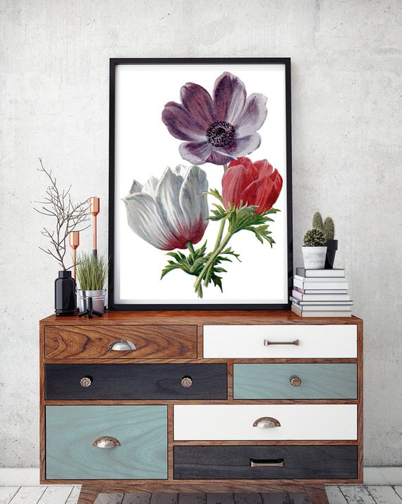 CathySavels_Art's tweet photo. Anemone Flowers are so pretty. This print would add some shabby chic to your walls. https://t.co/BfQdettAX0 #flowers botanical https://t.co/IqvKvJHmKh