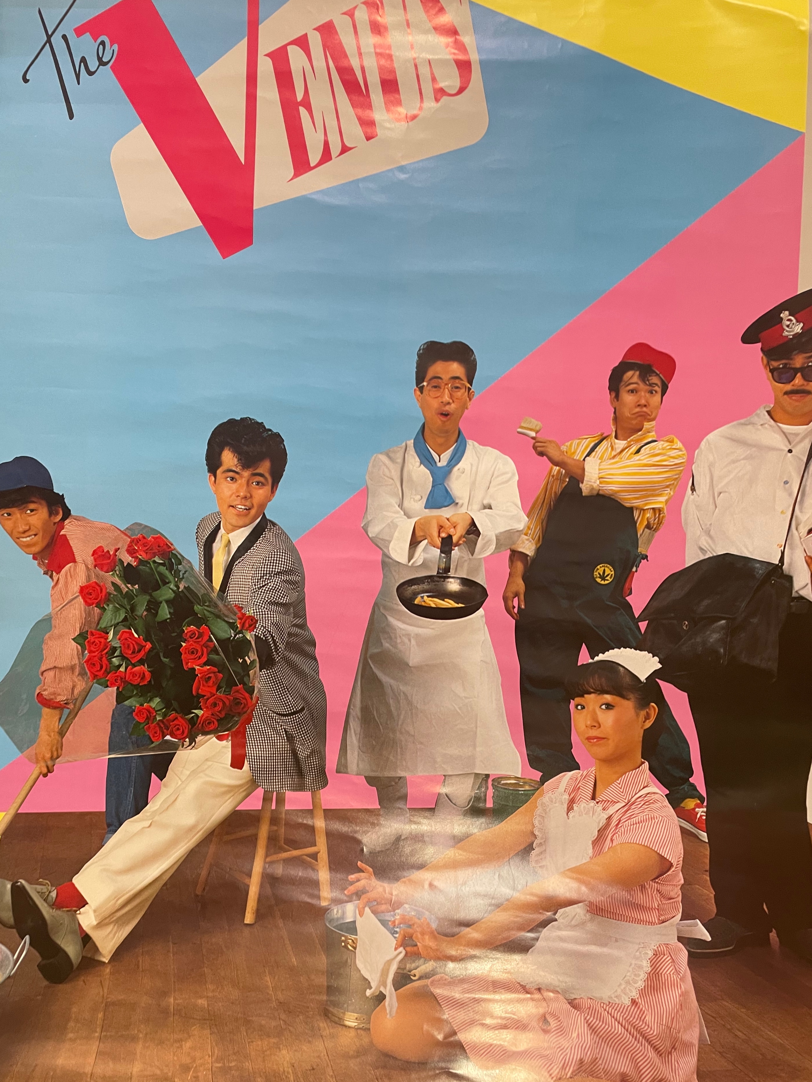 ザ、ヴィーナス ポスター B2サイズ