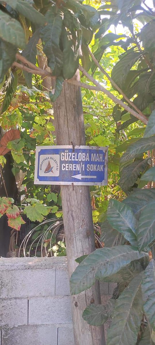 nhlunal's tweet image. Sağ taraf #Güzelbağ
Sol taraf #Güzeloba

Tam iki mahalle arası sınırda,Sayın Cumhurbaşkanımızın selamlarını ve Vatandaşlarımıza olan mektuplarını dağıtıyoruz

#Evde olmayan Vatandaşlarımıza 
📍📍Geldik evde yoktunuz kartlarını bırakıyoruz 

#GönüldenGönüle
