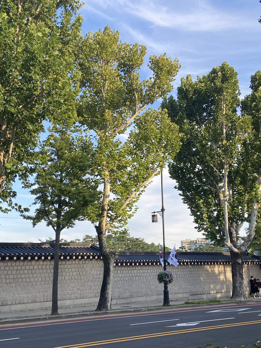 secondzero22's tweet image. 끄앙