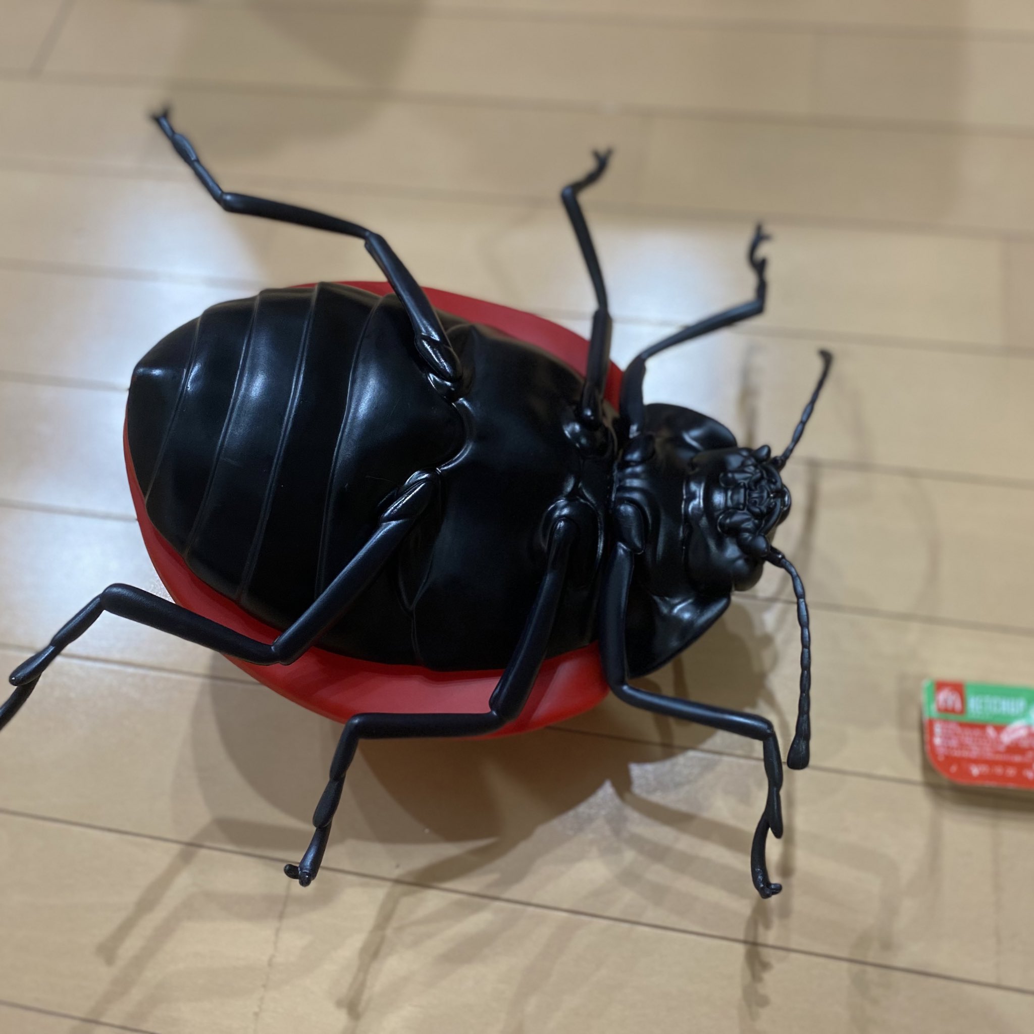 幸せてんとう虫 Siawase Tento Twitter