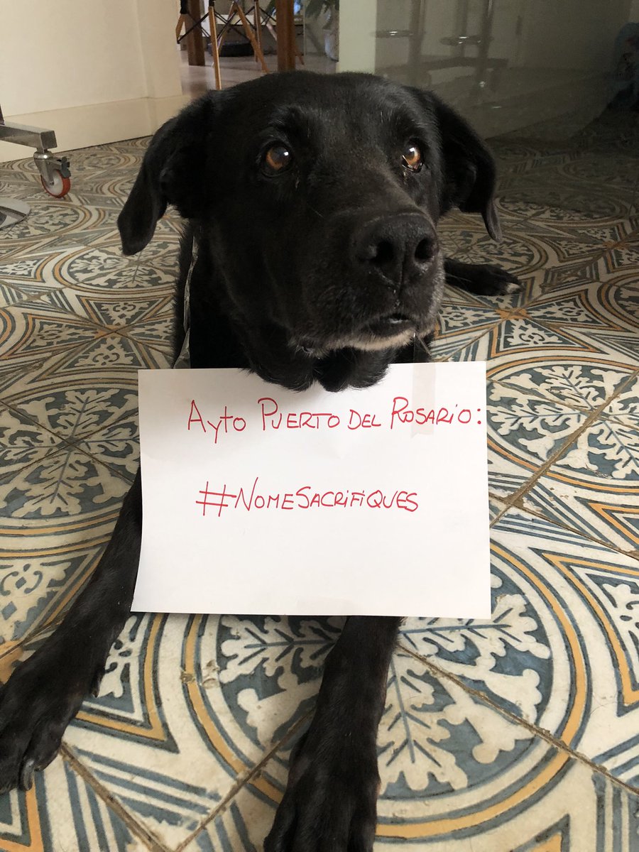 Celia Alberto Pérez tweet media