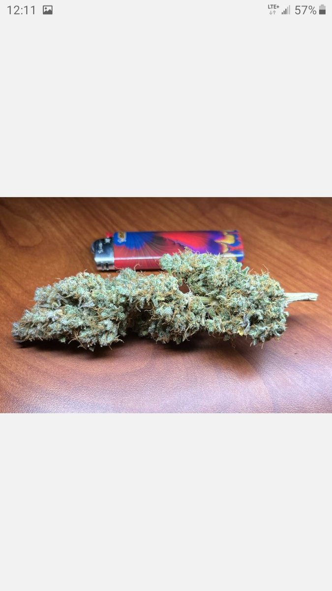 Jour S2 #gansheimgenetics