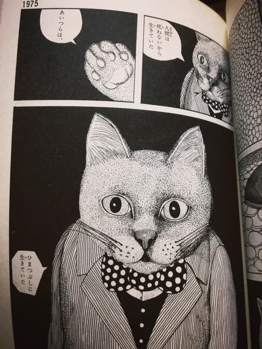 すごくいいな… 