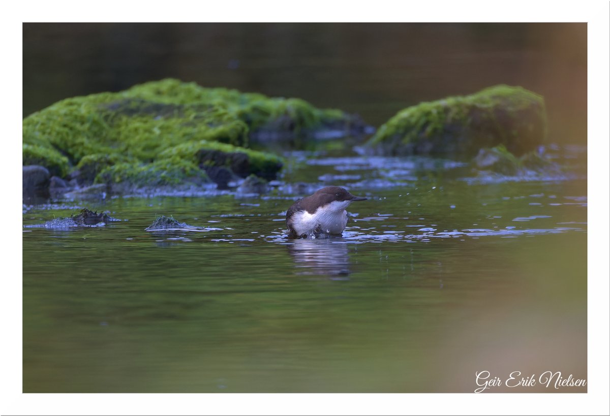 Geir Erik Nielsen tweet media
