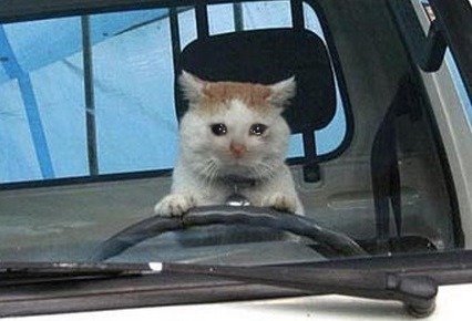 「Bro I was just driving around in Cyberpu」|tabletorgyのイラスト