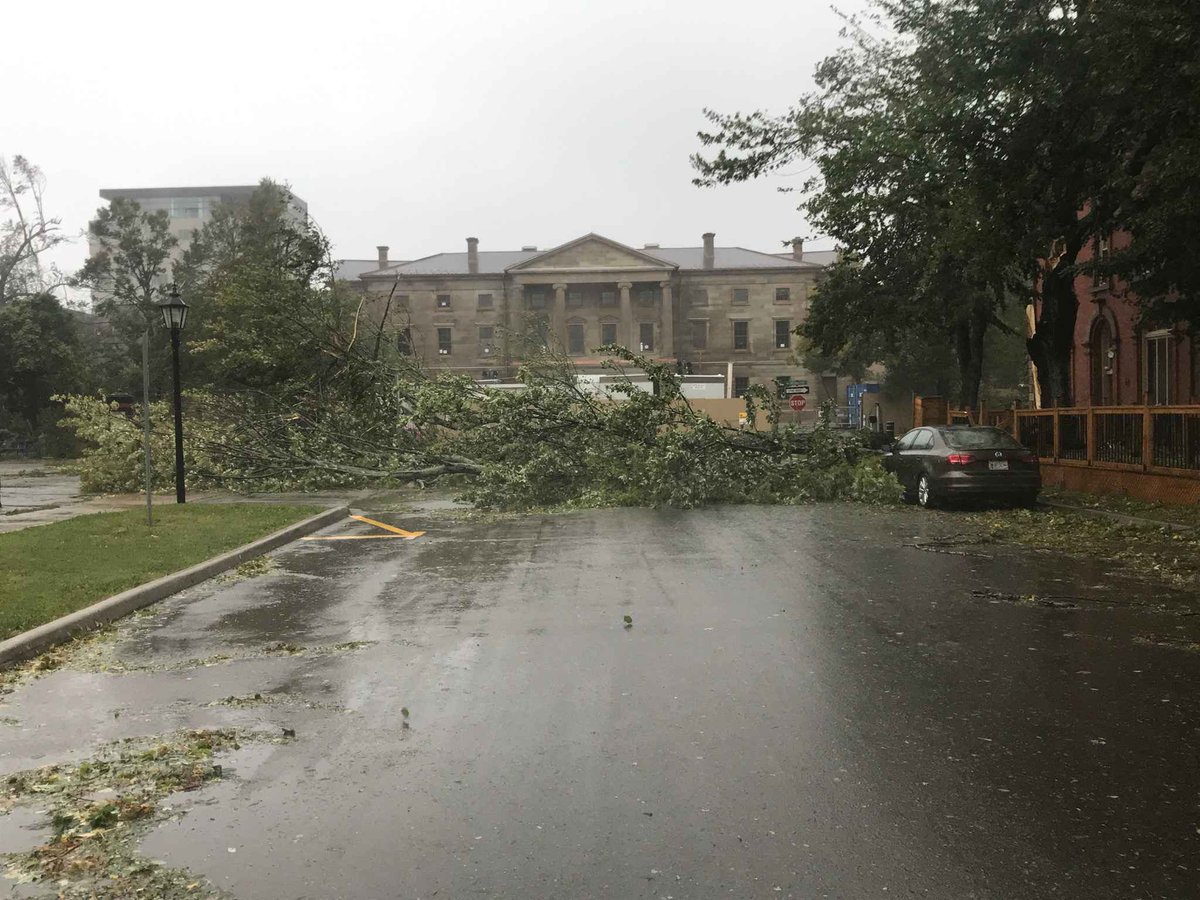 bjackmorse's tweet photo. Many trees down in Charlottetown, including those around Province House. https://t.co/xUdlspyk0G